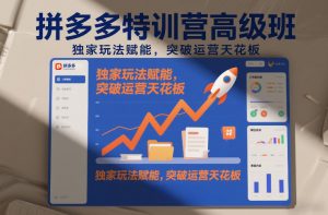 拼多多特训营高阶班，独家玩法赋能，突破运营天花板(更新26年4月18日)-大象聊项目