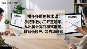 拼多多原创技术课：手把手教小二开直通车，从出价计算到模式搭建，破解低投产、冷启动难题-大象聊项目