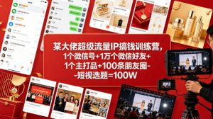 某大佬超级流量IP搞钱训练营，1个微信号+1万个微信好友+1个主打品+100条朋友圈-短视选题=100W-大象聊项目