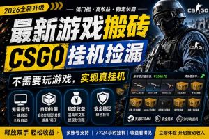 最新游戏搬砖，CSGO纯挂机，不需要玩游戏，实现真挂机，月入1W+，五一小高峰上车可吃肉，…-大象聊项目