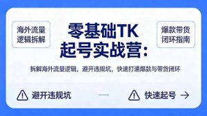 零基础 TK 起号实战营：拆解海外流量逻辑，避开违规坑，快速打通爆款与带货闭环-大象聊项目