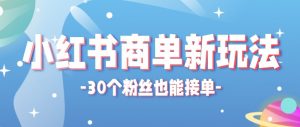 合新手小白操作的小红书商单新玩法，低粉丝也能接单，一个月接三单赚了150+！-大象聊项目