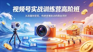 视频号实战训练营高阶班，从流量到变现，构建直播驱动的商业闭环(26年4月)-大象聊项目