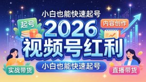 2026视频号红利实战营，大佬亲授起号、内容、直播、IP、投流、私域、矩阵全套落地打法-大象聊项目