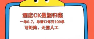 上班也能玩的酒店CK数据归集，一单0.7单窗口每天可做100单，一个人就能矩阵操作【揭秘】-大象聊项目