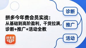 拼多多年费会员实战(更新26年4月30-大象聊项目