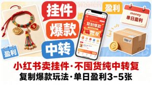 小红书卖挂件，不囤货纯中转复制爆款玩法，单日盈利3-5张-大象聊项目