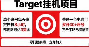 海外平台Target，正规运营商合作、技术兜底长期稳定、防风控、任务不断档、收益透明、灵活提…-大象聊项目
