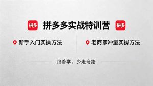 拼多多实战特训营(更新5月3-大象聊项目