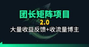 【团长合作2.0】视频矩阵项目_招发手矩阵+剪辑师，共赢项目【揭秘】-大象聊项目