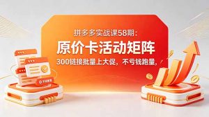 拼多多实战课58期:原价卡活动矩阵,300链接批量上大促,不亏钱跑量-大象聊项目