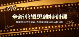全新剪辑思维特训课:颠覆常规学习路径,靠剪辑逻辑搞定拍摄创作-大象聊项目