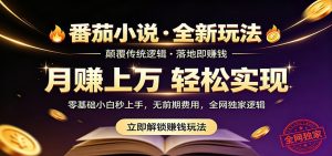番茄小说5月最新独家玩法,稳定落地实测月入过万!-大象聊项目
