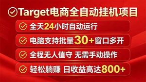 Target电商全自动挂机项目全天自动运行电脑可批量30+窗口运行日收益入800+-大象聊项目