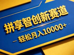拼享智创新赛道,轻松月入1W+,门槛极低、收益稳定、可长期放大的轻资产项目【揭秘】-大象聊项目