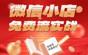 微信小店免费流实战,有货源无货源双模式,从开店到爆单全实操课,小白也能月入1W+-大象聊项目
