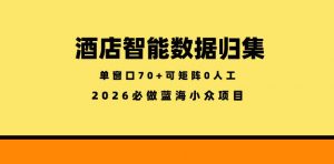 酒店智能数据归集,小众蓝海已经稳定半年之久,单窗口70+零成本矩阵开干【揭秘】-大象聊项目