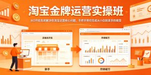 淘宝金牌运营实操班,从0开始系统解决你淘宝运营核心问题,手把手带你完成从小白到高手的蜕变-大象聊项目