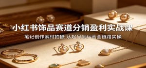 小红书饰品赛道分销盈利实战课:笔记创作素材拍摄,从起号到运营全链路实操-大象聊项目