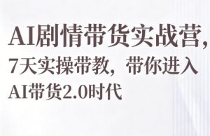 AI剧情带货实战营,7天实操带教,带你进入AI带货2.0时代-大象聊项目