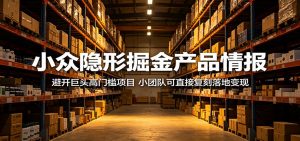 小众隐形掘金产品情报:避开巨头高门槛项目,小团队可直接复刻落地变现-大象聊项目