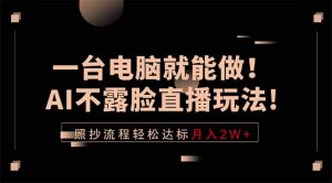 一台电脑就能做！AI不露脸直播玩法，照抄流程轻松达标月入2W+-大象聊项目