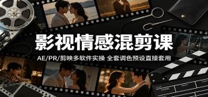 影视情感混剪课：AE/PR/剪映多软件实操，全套调色预设直接套用-大象聊项目