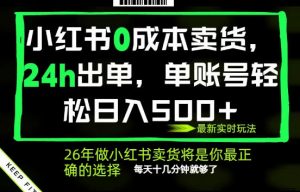 小红书0成本AI卖货,24小时出单,全流程托管,保底日入500+,每天十几分钟就够了【揭秘】-大象聊项目