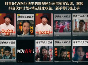 抖音54W粉丝博主的影视剧台词混剪实战课,解锁抖音伙伴计划+精选独家收益,新手零门槛上手-大象聊项目
