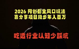 2026 网创副业风口玩法,靠分享项目稳步年入百万,吃透行业认知少踩坑-大象聊项目
