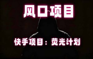 快手风口项目，荧光计划托管，长期稳定，适合批量做-大象聊项目
