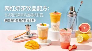 网红奶茶饮品配方：台式港式果茶奶盖杨枝甘露，完整资料包制作教程合集-大象聊项目