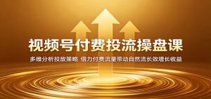 视频号付费投流操盘课:多维分析投放策略,借力付费流量带动自然流长效增长收益-大象聊项目