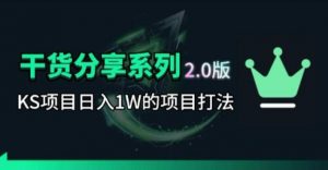 KS项目2.0期-拆本周结1W项目思路,几张图撬动流量群体,真的生猛-大象聊项目