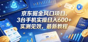 京东掘金风口项目,3台手机实操日入600+,实测见效,最新教程【揭秘】-大象聊项目