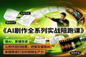 AI剧作全系列实战陪跑课,懂AI,更懂导演,让创作回归创意,把复杂留给AI,掌握降维打击的视频生产力-大象聊项目
