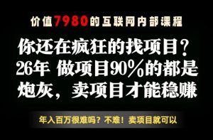 26年请不要疯狂的找项目了,卖项目远比你想象的暴利,你也可以月入10W+【揭秘】-大象聊项目