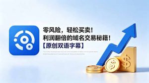 零风险，轻松买卖！利润翻倍的域名交易秘籍！【原创双语字幕】-大象聊项目