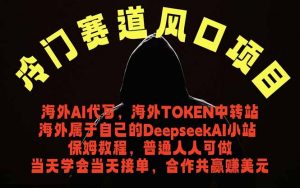冷门赛道风口项目 海外AI代写!0成本运作完全免费!当天注册当天接单,接单接到手抽筋,无脑…-大象聊项目