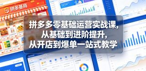 拼多多零基础运营实战课,从基础到进阶提升,从开店到爆单一站式教学-大象聊项目