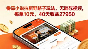 番茄小说拉新野路子玩法,无脑怼视频,每单10元,40天收益27950-大象聊项目