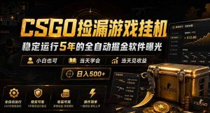 CSGO捡漏游戏挂机,稳定运行5年的全自动掘金软件曝光,小白也可当天学会,当天见收益,日入500+-大象聊项目