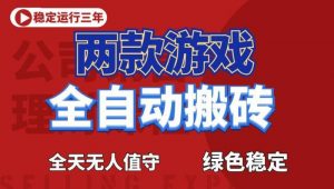 海外游戏全自动搬砖，日入1k+，全天无人值守，绿色稳定！【揭秘】-大象聊项目