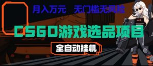 CSGO游戏自动扫货项目，全自动运行，月入1W，无风险，长期稳定可以做【揭秘】-大象聊项目