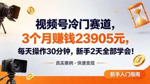 视频号冷门赛道，3个月变现23905元，新手2天学会 每天操作30分钟！-大象聊项目