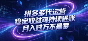 拼多多代运营，小白也能轻松月入过万，真实运营数据可查，全托管代运营-大象聊项目
