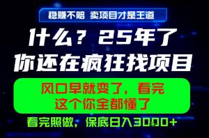 26年,请不要疯狂的找项目做了!卖项目才是真的稳賺不赔,看完照做,保底日入1k+【揭秘】-大象聊项目
