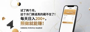 试了两个月，这个冷门赛道真的藏不住了！每天日入200+，照做就能赚！-大象聊项目