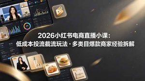 2026小红书电商直播小课，低成本投流截流玩法，多类目爆款商家经验完整拆解教学-大象聊项目