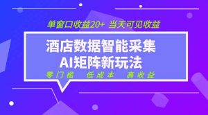 2026酒店数据采集ai智能矩阵新风口 低成本 高收益 当天见收益 单窗口20+-大象聊项目